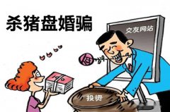 <b>广州收数公司揭秘杀猪盘诈骗方式</b>